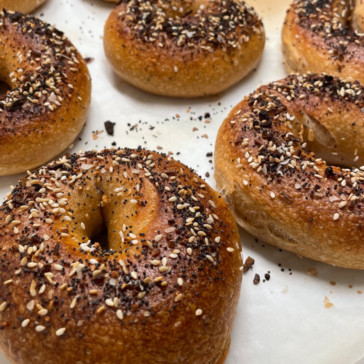 Sourdough Bagels!
